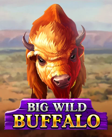 Play Big Wild Buffalo at Plaza Royal Casino
